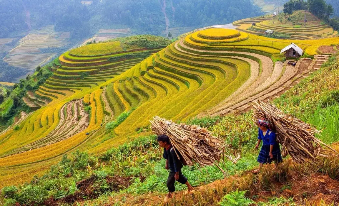 Tour Hà Giang: mùa tam giác mạch