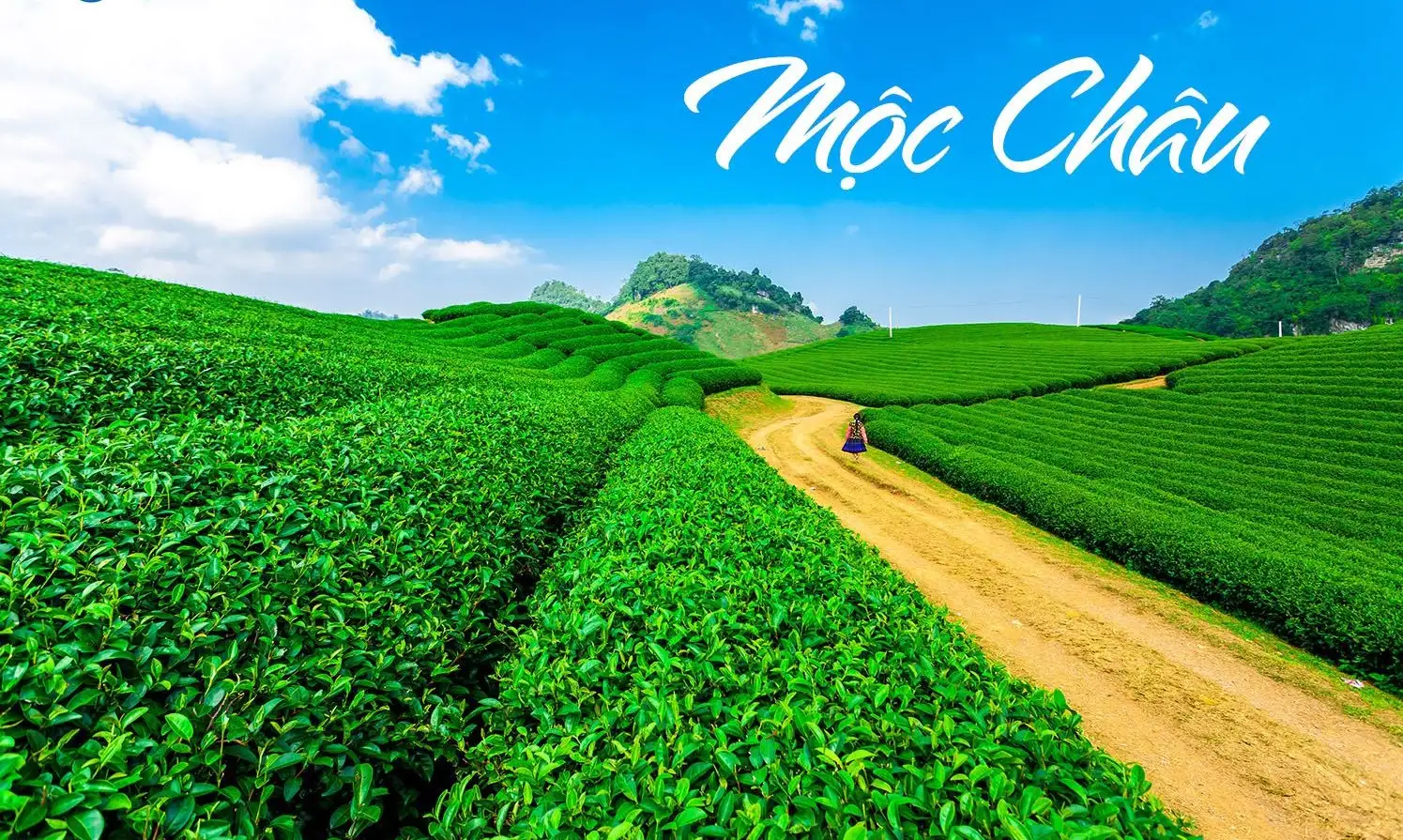 MỘC CHÂU 2N1Đ